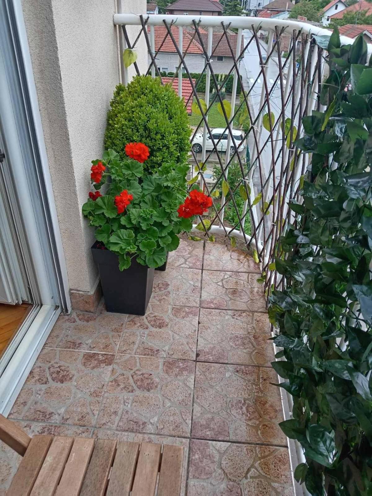 Apartman Centar Požarevac Exteriér fotografie